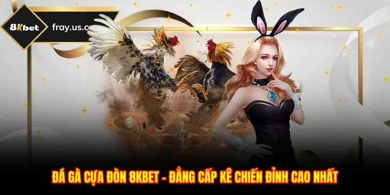 Đá Gà Cựa Đòn 8kbet - Đẳng Cấp Kê Chiến Đỉnh Cao Nhất