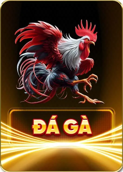 Đá gà